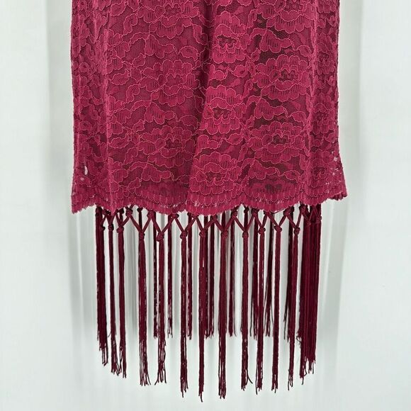 NwT Lush cocktail Lace & Fringe Dress Small wedding party flapper costume - Picture 15 of 15
